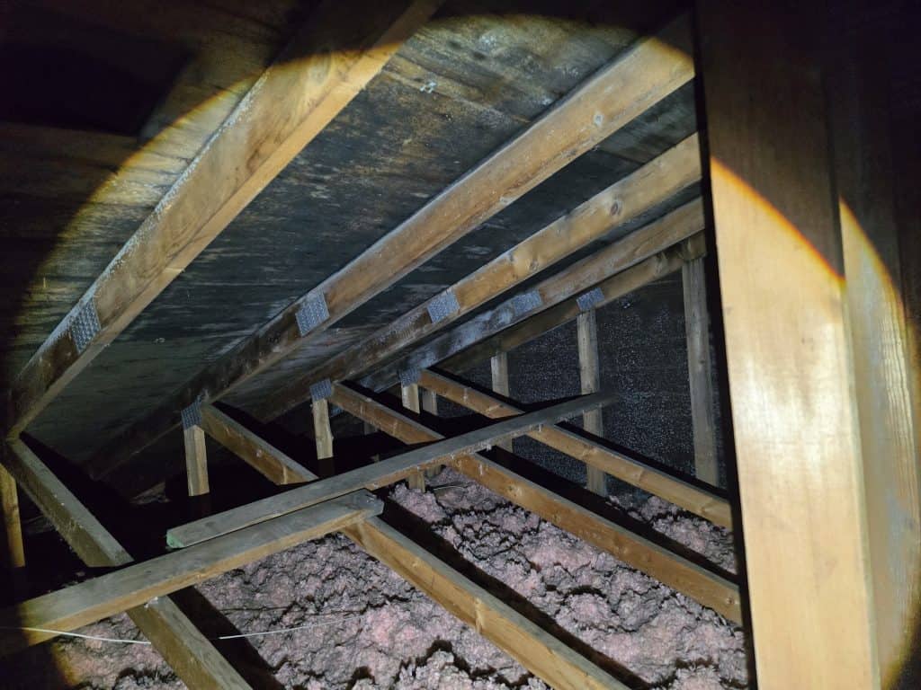 Black mold located in wooden beams in dark attic space