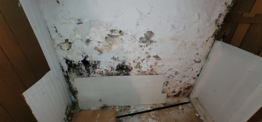 Wall with extensive black mold damage