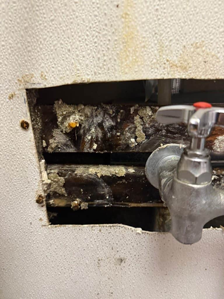 Damaged wall framing with mold and plumbing and wall frame